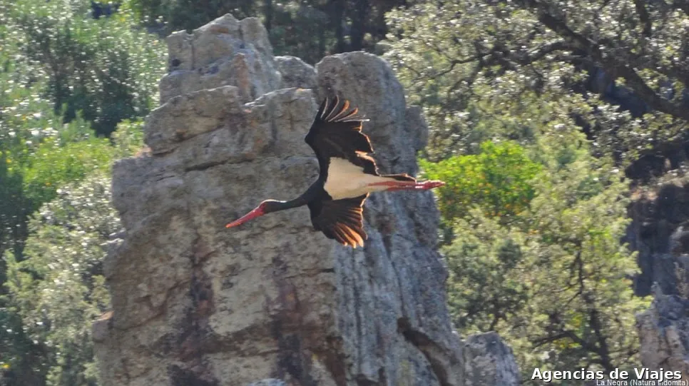 Empresa de Turismo Activo Natura Indomita