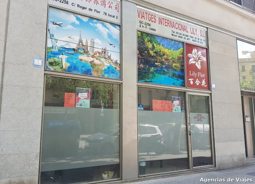 Viajes Internacionales Lily