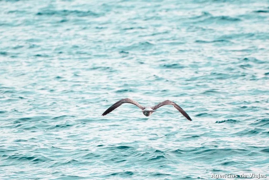 Ampliando Horizontes