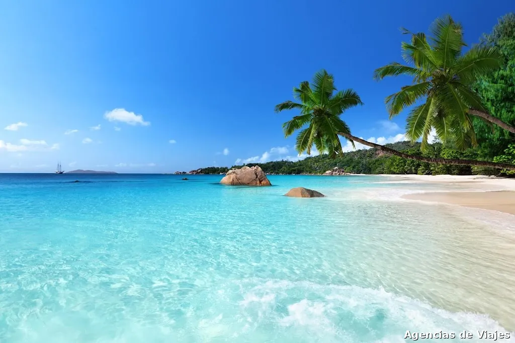 Grupo Viajes Virginia