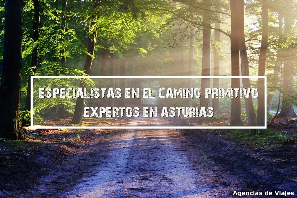 Camino de Asturias