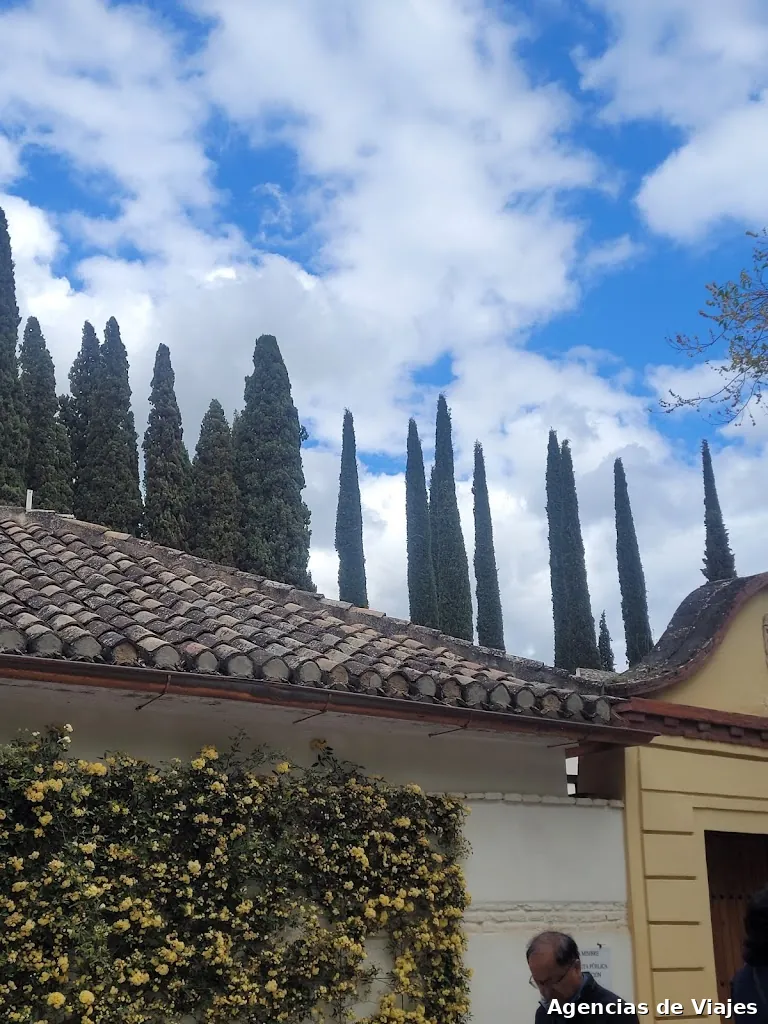 Discover Alhambra Granada