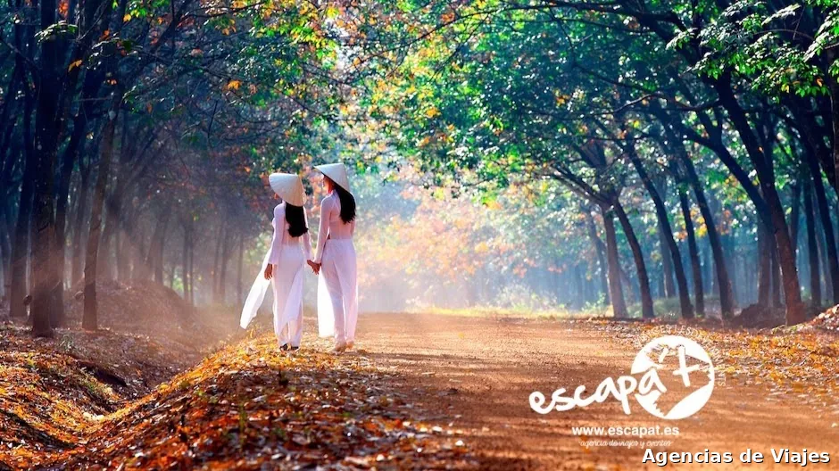 Escapa't - Agencia de viajes y eventos