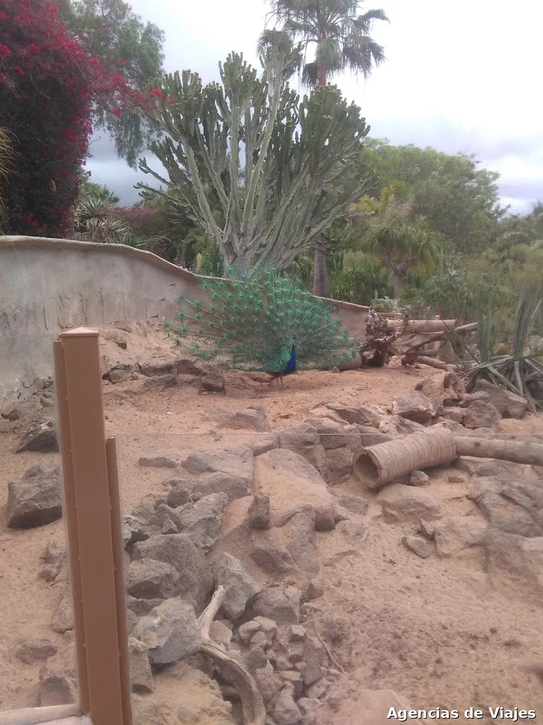 Admiral Travel Agencia de Viajes