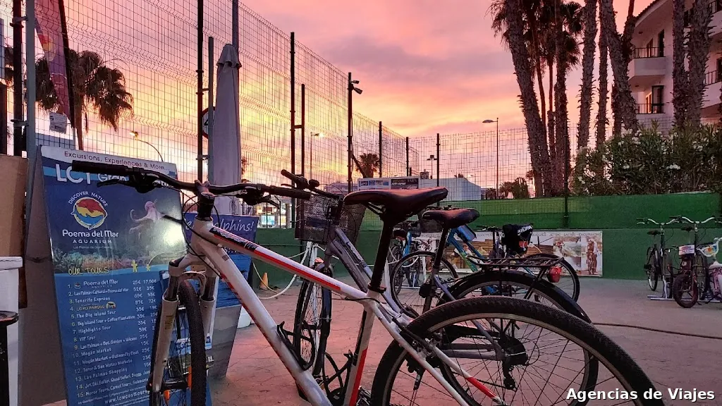 Free Wheels Sport Club