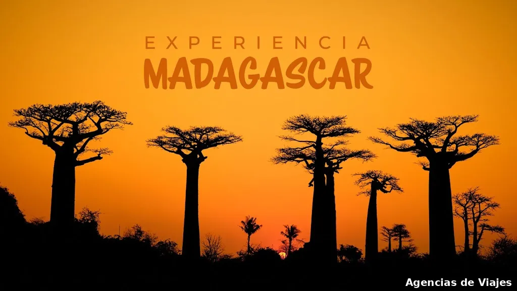 Experiencia Madagascar