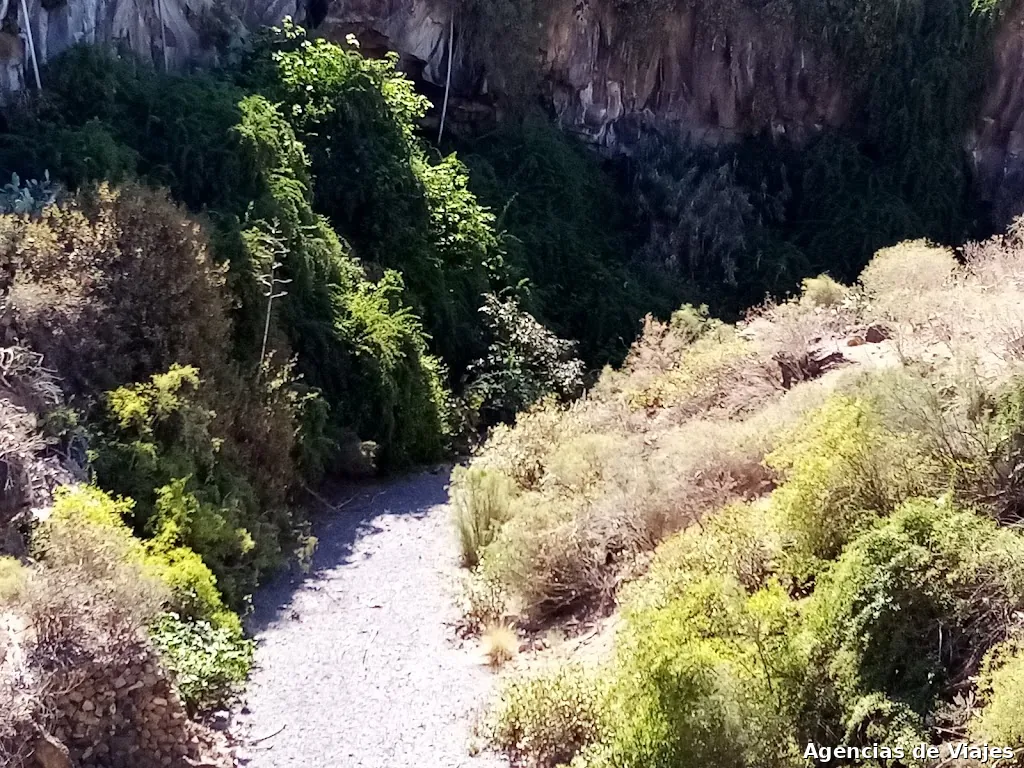 Atlantic Dolphin Travel