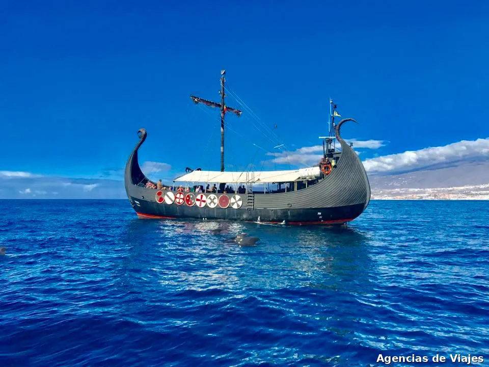 Best Boat Tenerife Viking Ragnarok Whales&Dolphins