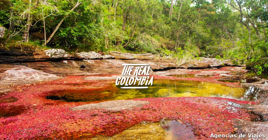 The Real Colombia - Agencia de viajes a Colombia