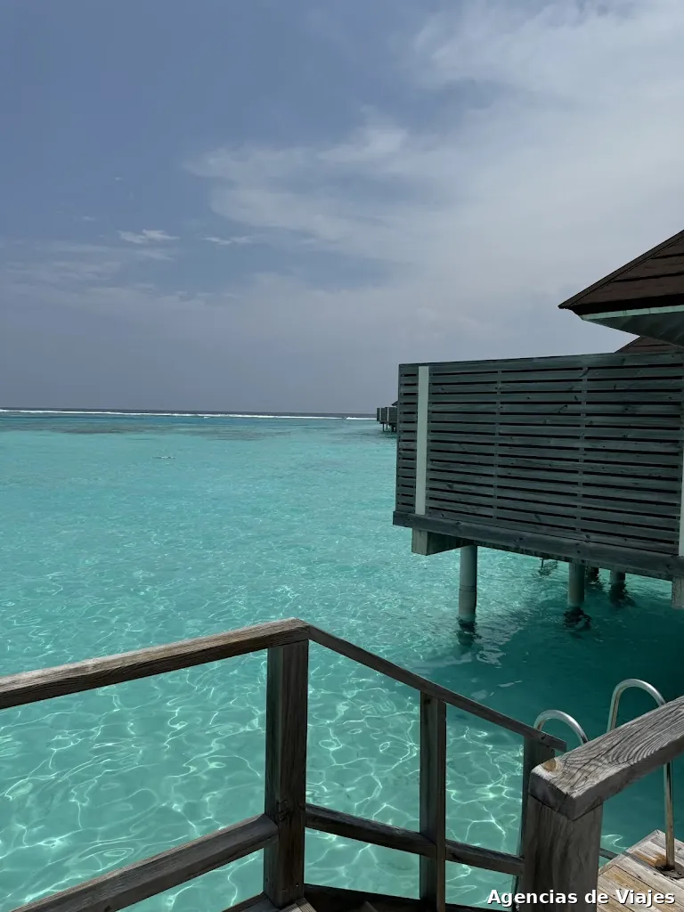 PLANEA Viajes - Oficina de Mula