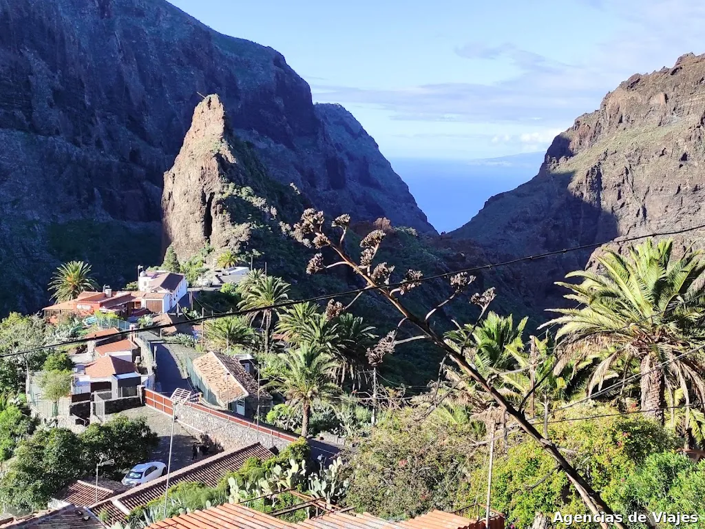 TeneTra | Tenerife, Canary's pearl