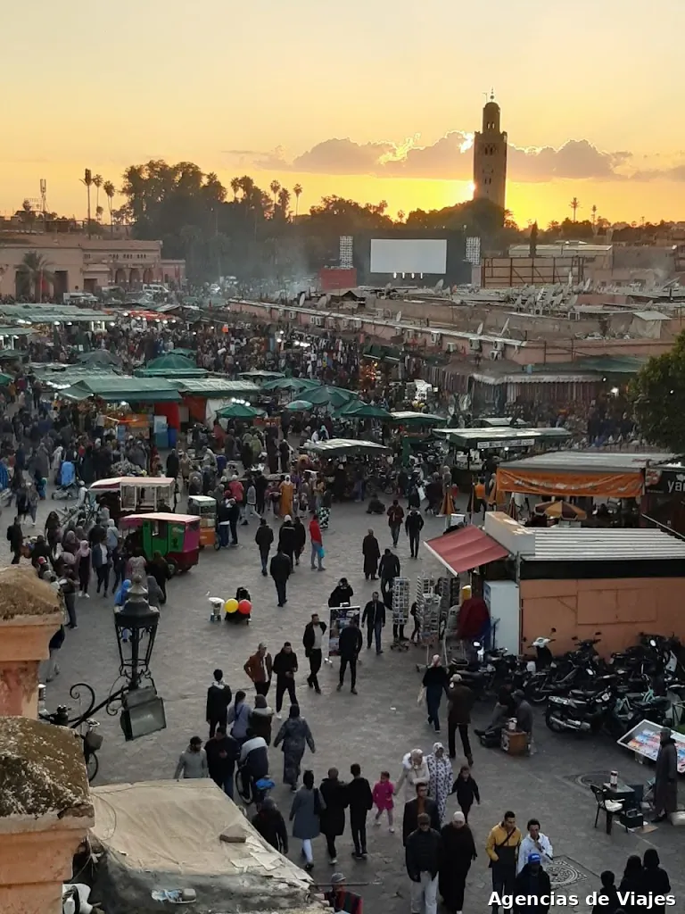 Viajes Doncel Palma del Río