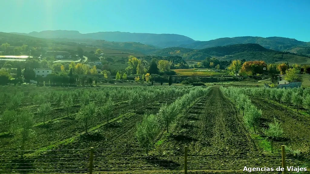 Agencia de viajes Bombón tours
