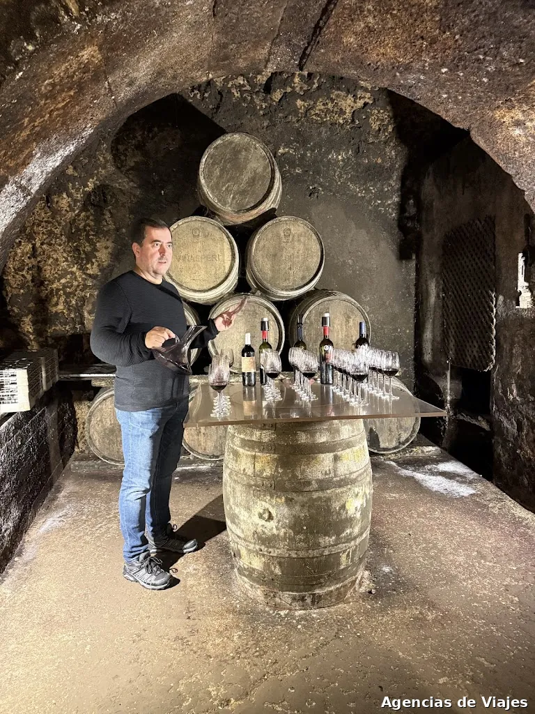 Rioja Wine Tours - Like A Native