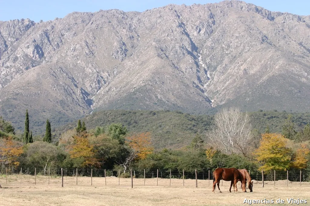 AMPASCACHI Turismo Ecuestre