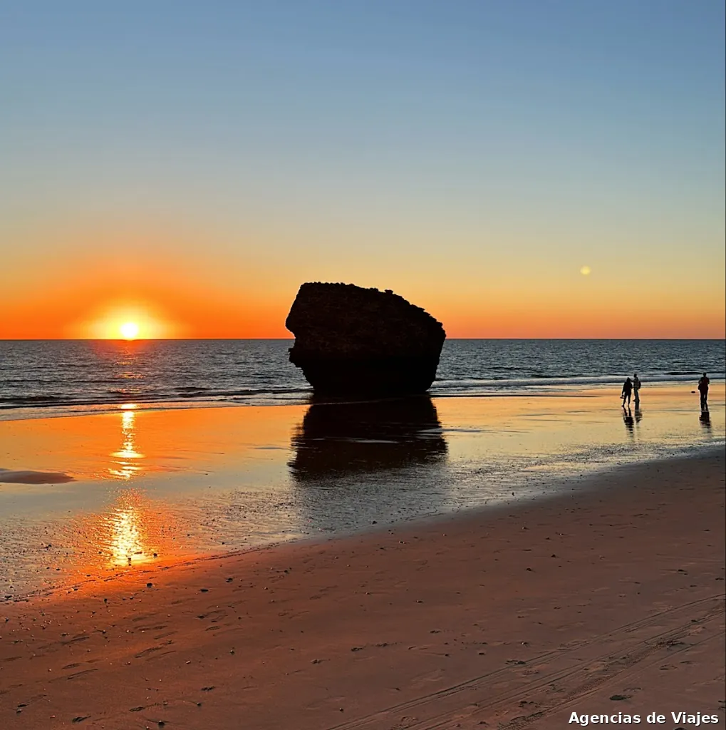 My Holistic Holidays Trips