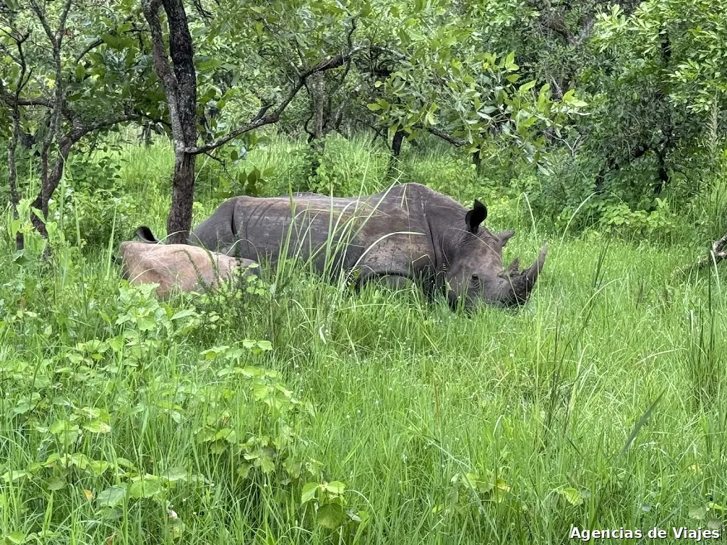 VCQ Travel (Viajes en Grupo by Viajo Como Quiero)