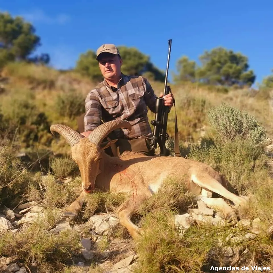Caza Espania & Canarias/ Hunting Tours