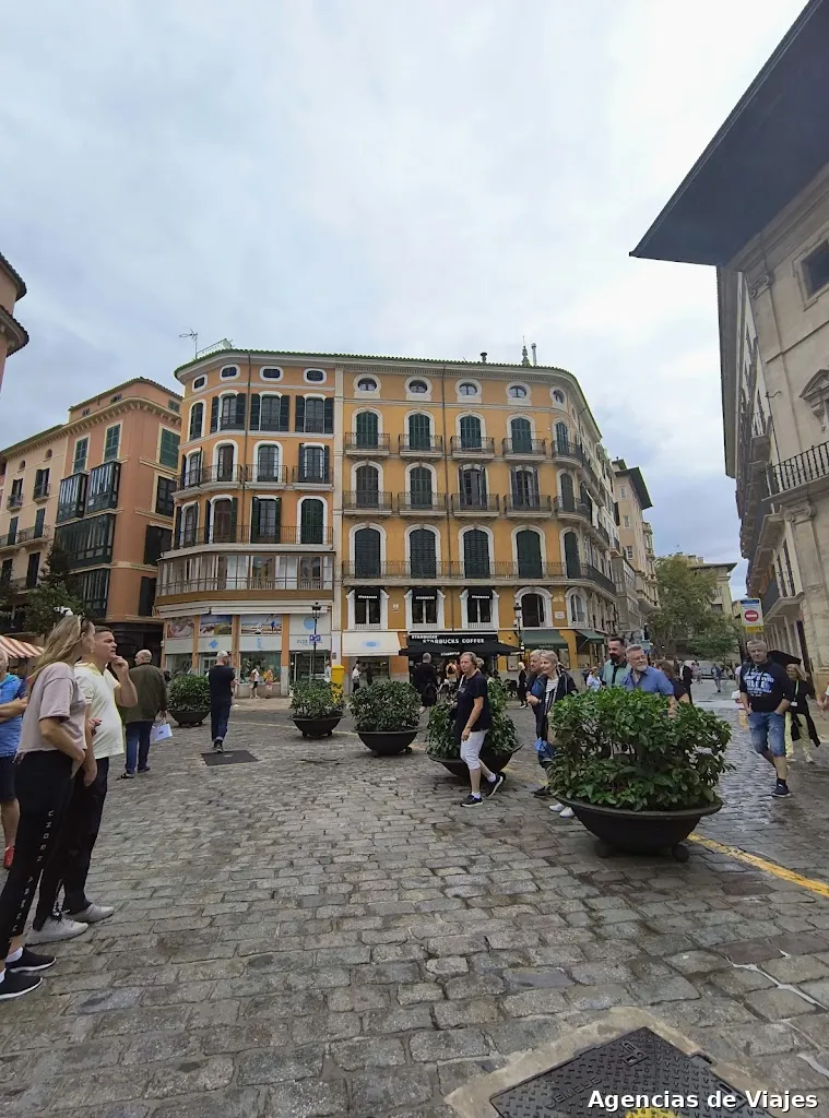 Otra Mirada Palma | Free Tours y Excursiones