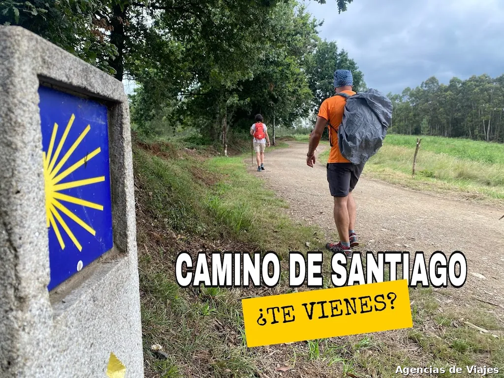 Vive tu camino