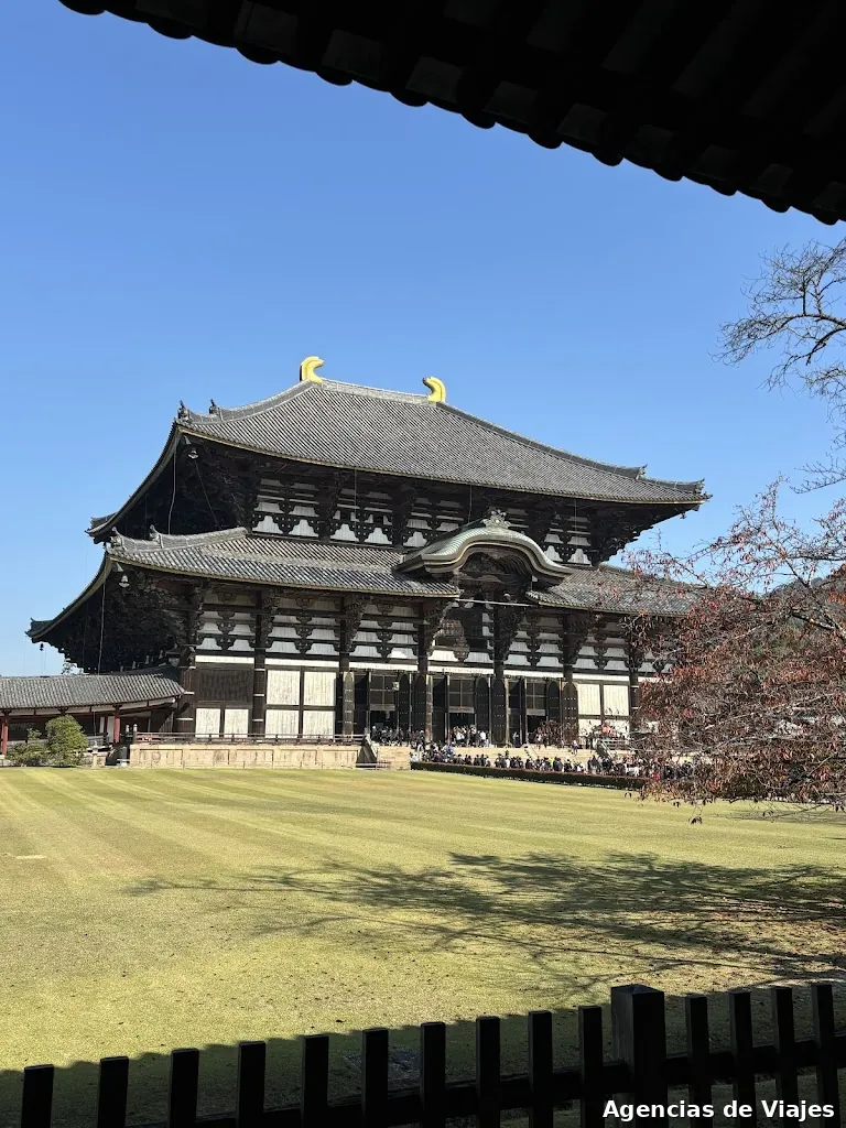 Tastets de món- Travel projects