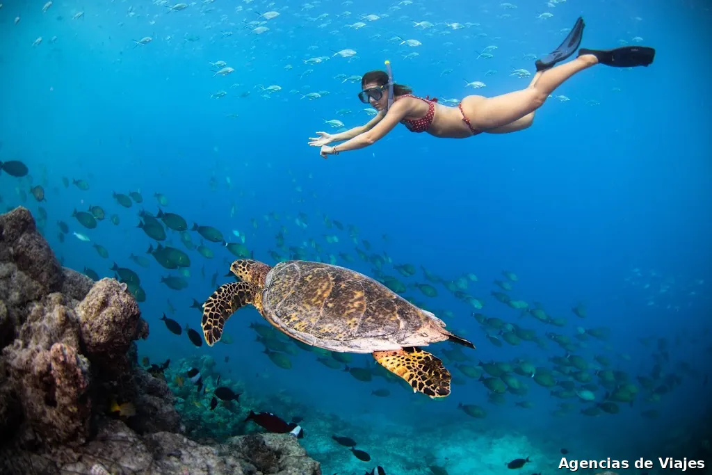 Latitud 7 | Viajes de Aventura y Buceo