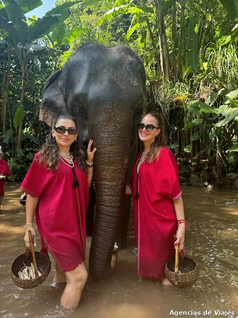 VIAJES.D PARTIDA S.L.