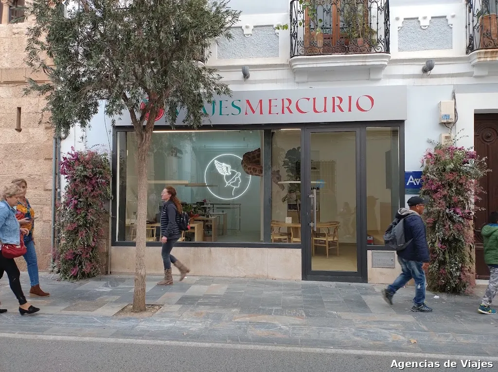 Viajes Mercurio S.A.