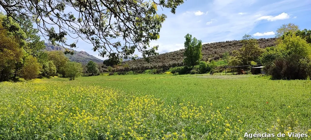 Agencia de Viajes PIES GRANDES