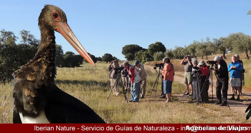 Iberian Nature - Guías de naturaleza