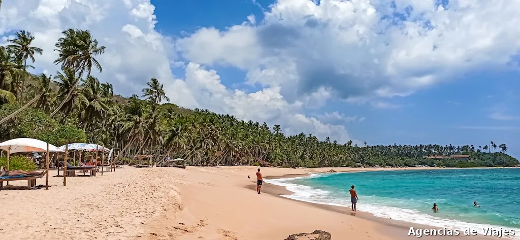 Miaotrip to Sri Lanka