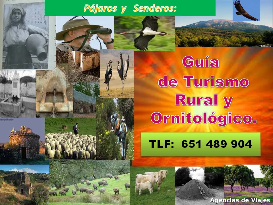 Guía intérprete de turismo de naturaleza.