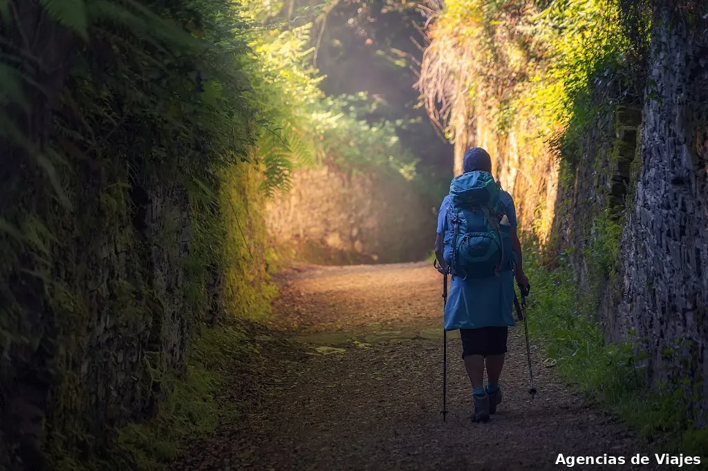 Camino de Santiago Reservas