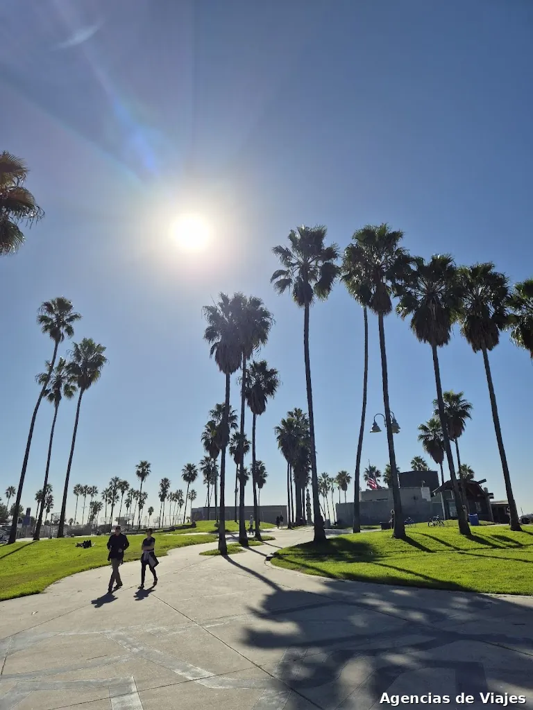 Viajar X Basket - Viajar X Wrestling