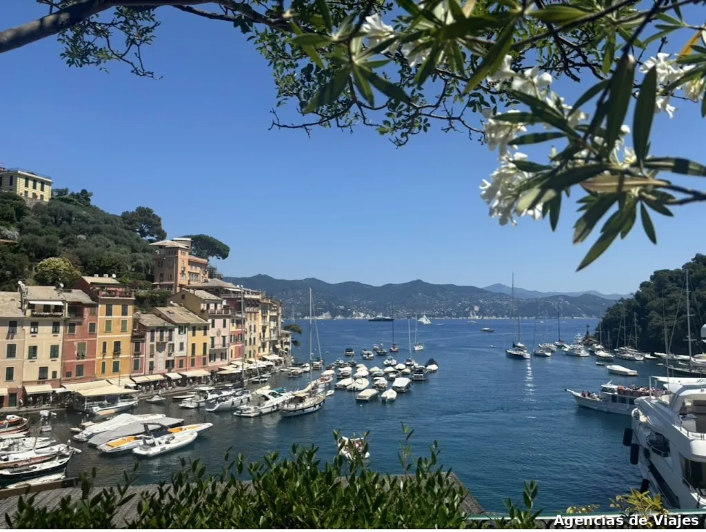 Mundenea · Agencia de Viajes