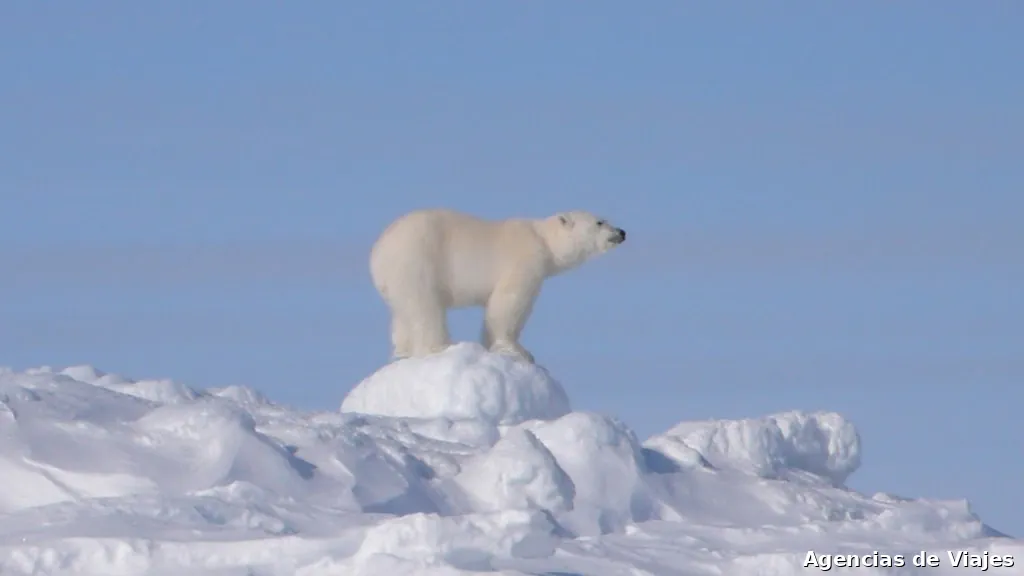 Viajes Mundo Ártico