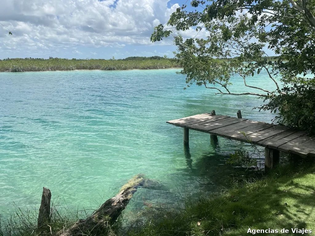 Organitravels.com - Agencia de viajes