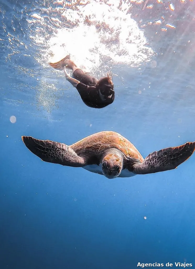 Canarian Fun Tenerife Excursions