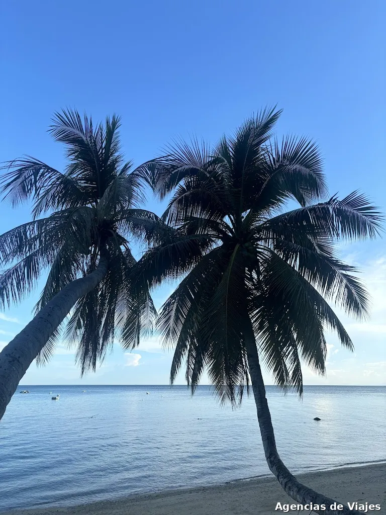 Nomads Connexion S.L