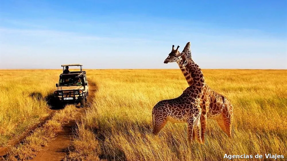 Viajes TravelToClouds