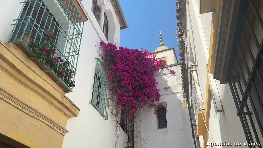 Freetour Foodlovers Córdoba