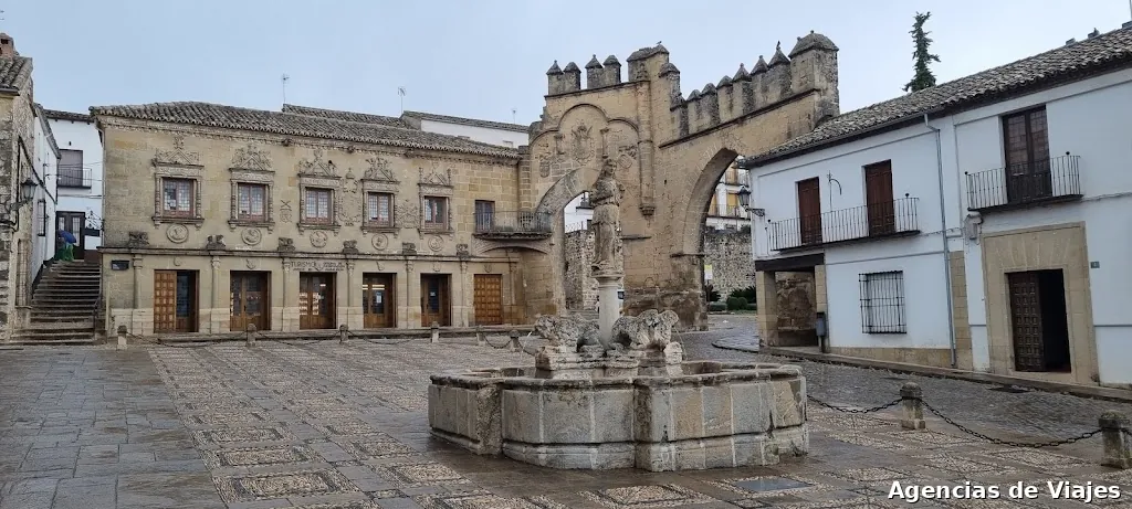 Oleoturismo en Jaén - Rutas del Olivo - Aceite de Oliva