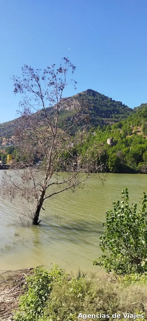 Faro de Murgi Agencia de Viajes