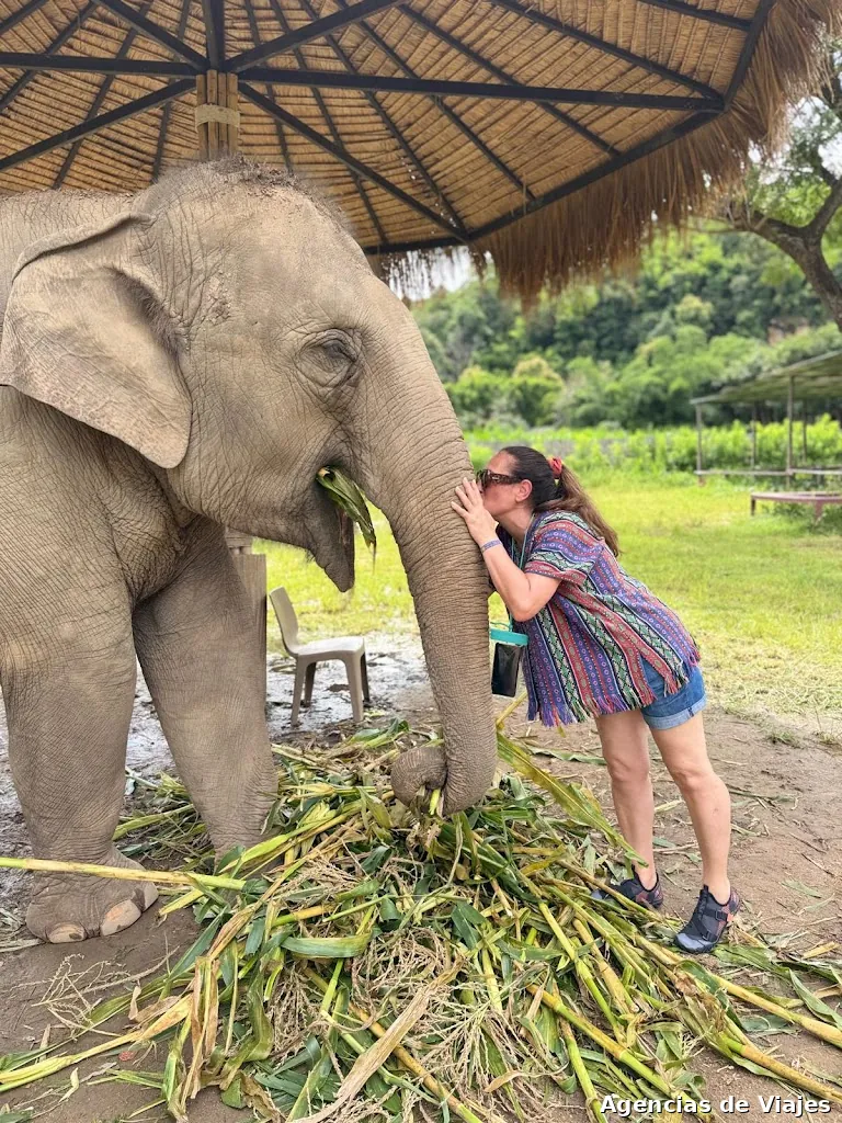 Volamos Travel | Agencia Online