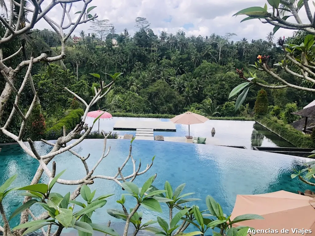 Collage & Sweet Moon Travel