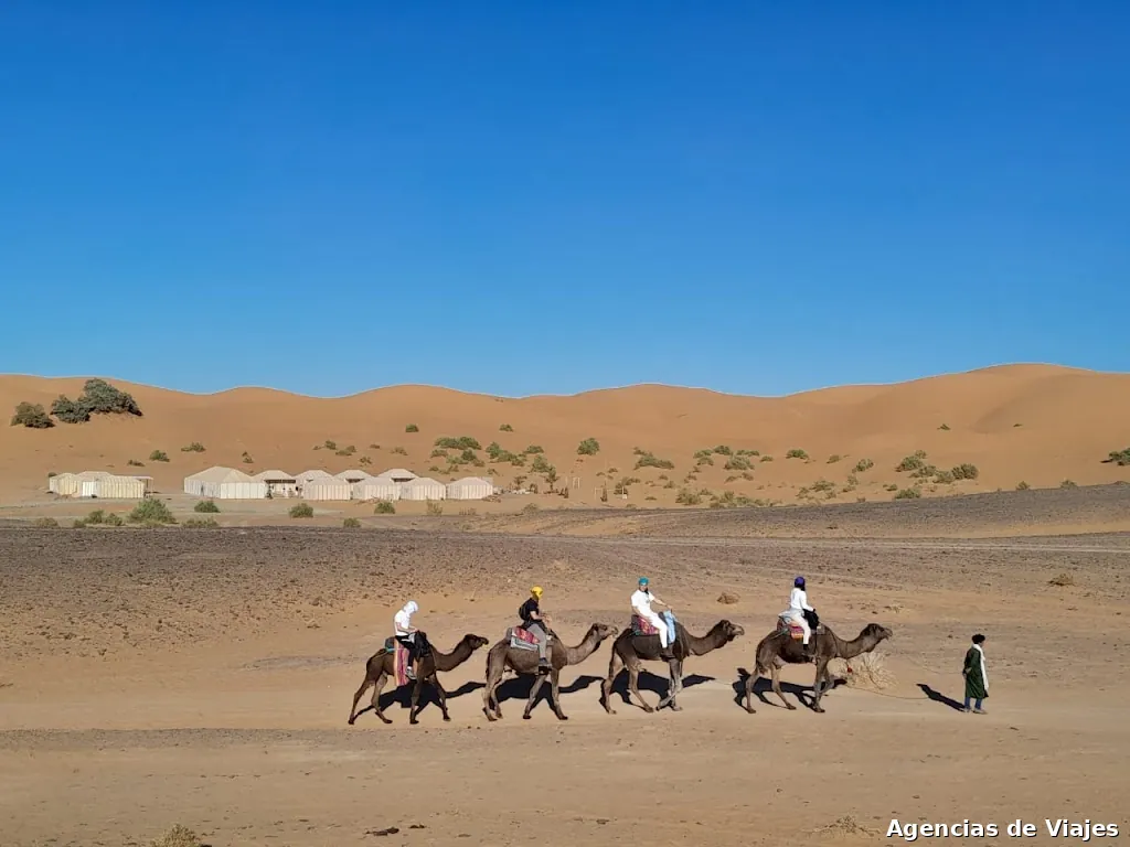 familymoroccotour.com