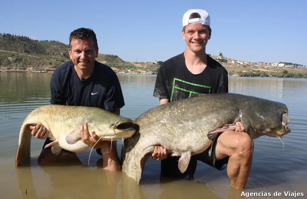 The Compleat Ebro Angler