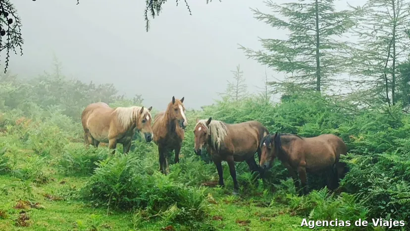 San Sebastian Trips & Experiences | Day Tours from San Sebastian
