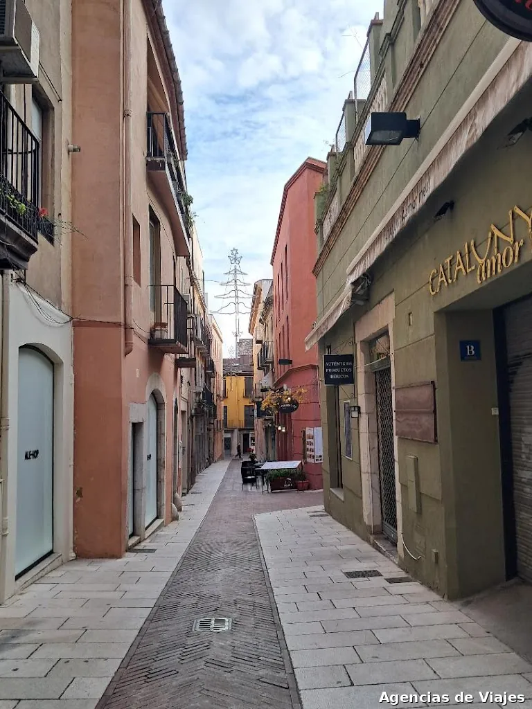 Trips And Tours Tornasol S L