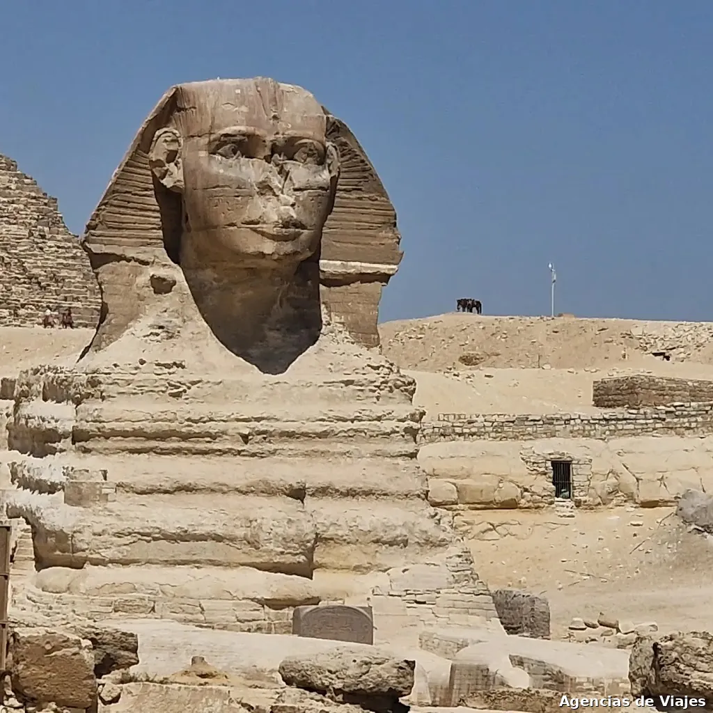 Mediterrània Tours & Travels, SL